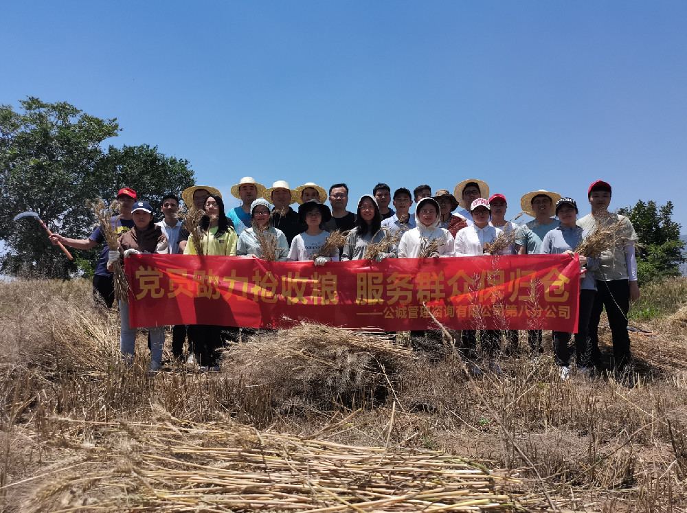 黨員助力搶收糧，服務群眾保歸倉——k8凯发国际咨詢公司號召黨員為群眾辦實事，助力陜西橋陵鎮農戶“夏糧”搶收